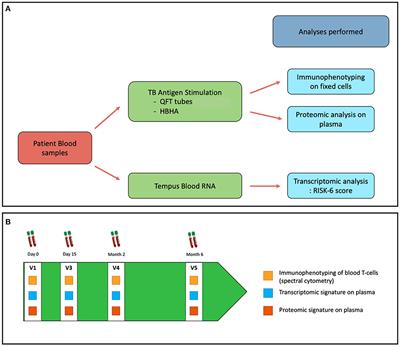 Opti-4TB: A protocol for a prospective cohort study evaluating the performance of new biomarkers for active tuberculosis outcome prediction